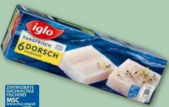 ADEG Dorsch Angebot