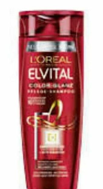 Müller Elvital Shampoo Angebot