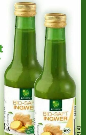 Norma Bio-Saft Ingwer Angebot