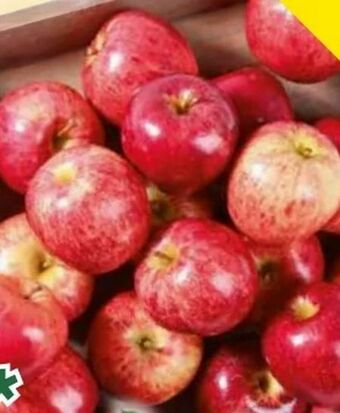 Norma Äpfel Angebot