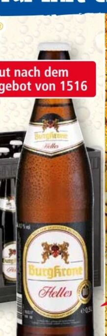 Norma Helles Bier Angebot