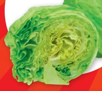 PENNY Eissalat Angebot