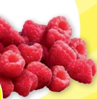 PENNY Himbeeren Angebot
