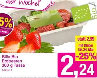 Sutterlüty Billa Bio Erdbeeren 300 g Angebot
