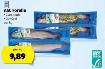 Hofer ASC Forelle Angebot