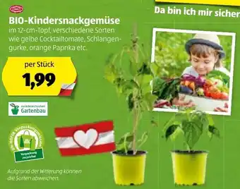 Hofer Bio Kindersnackgemüse 12 cm Angebot
