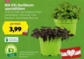 Hofer Bio XXL Basilikum Spezialitäten Angebot