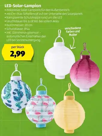 Hofer Led Solar Lampion Angebot