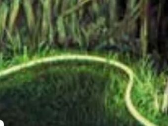 OBI Hue Lightstrip Outdoor Angebot