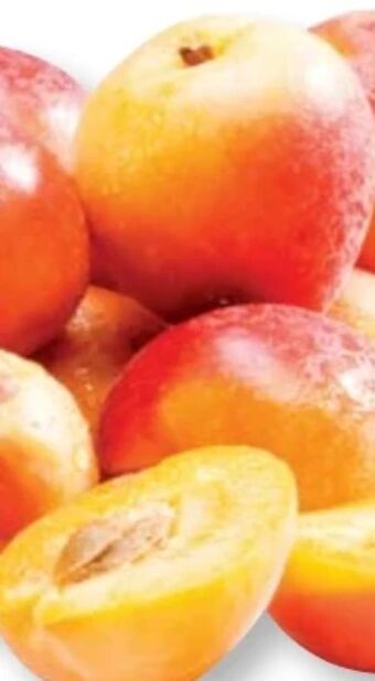 SPAR Gourmet Marillen Angebot