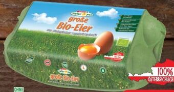 Spar Bio-Eier Angebot