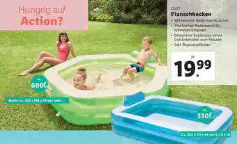Lidl Planschbecken 600 L, 530 L Angebot