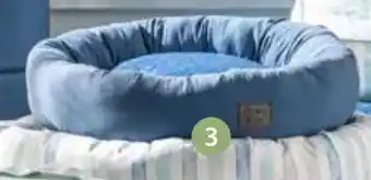 Kuschelbett Low Blue Sky