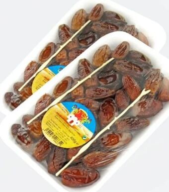 ETSAN Datteln Angebot