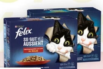 Bipa Felix Katzenfutter Angebot
