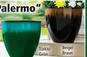 Norma Pflanztopf Palermo Angebot