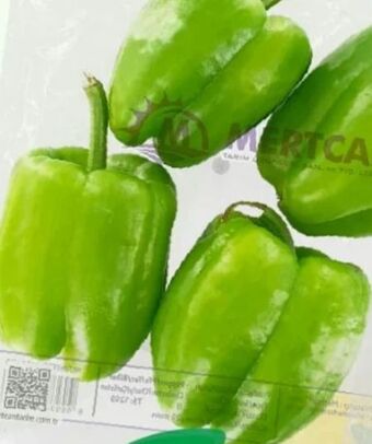 ETSAN Runde Paprika Angebot