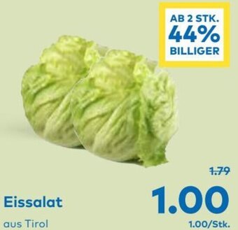 T&G Eissalat Angebot