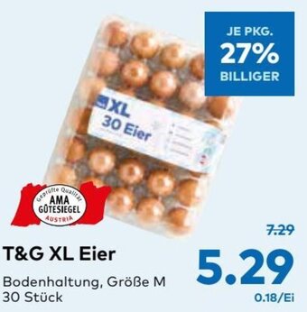 T&G T&G XL Eier Angebot