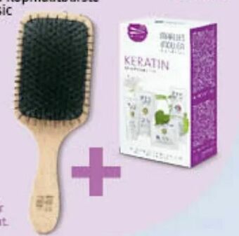 Müller Beauty Haircare Angebot