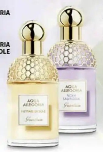 Müller Aqua Allegoria Flora Cherrysia EdT Angebot