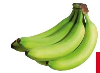Transgourmet Bananen Angebot