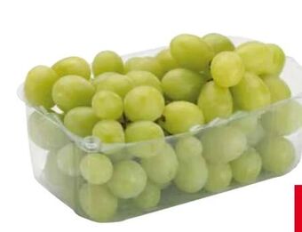 Transgourmet Trauben Angebot