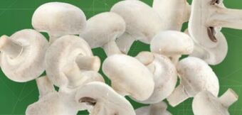 Lidl Champignons Angebot