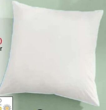 Norma Kopfkissen Angebot