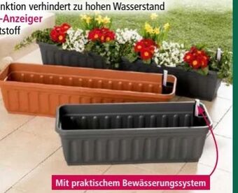 Norma Blumenkasten Aqua Perfect Angebot