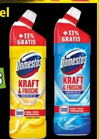 Norma WC Gel Angebot