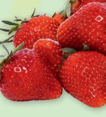 PENNY Erdbeeren Angebot