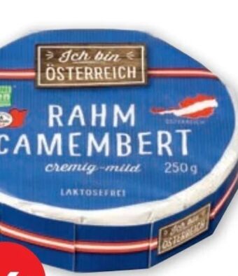 PENNY Rahm Camembert Angebot