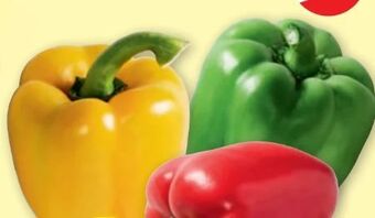 PENNY Paprika Angebot