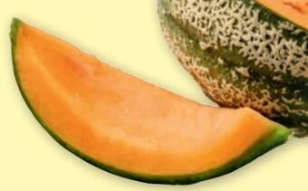 PENNY Zuckermelone Angebot