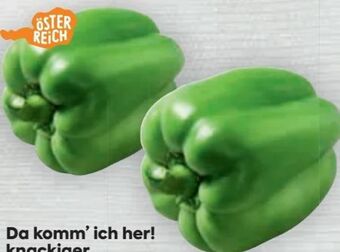 Billa Paprika Angebot