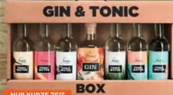 Billa Gin Tonic Box Angebot
