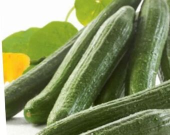 Spar Gurken Angebot