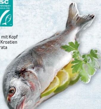 Metro Goldbrasse Angebot