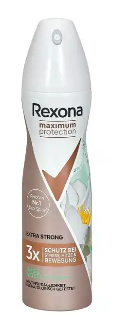 dm Deo-Spray Maximum Protection Angebot