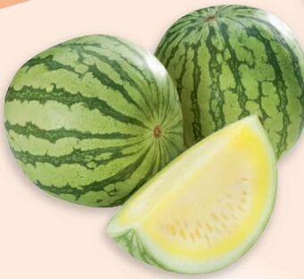 Metro Wassermelone Angebot