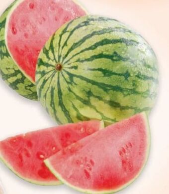 Metro Wassermelone Angebot