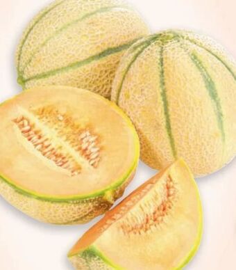 Metro Zuckermelone Angebot