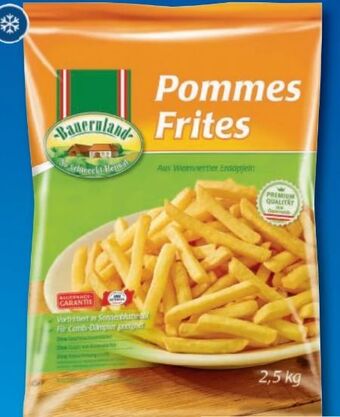 Metro Pommes Frites Angebot