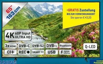Metro QLED TV 65Q60A Angebot