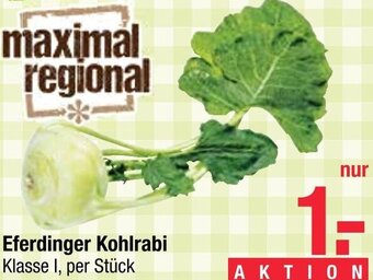 Maximarkt Eferdinger Kohlrabi Angebot