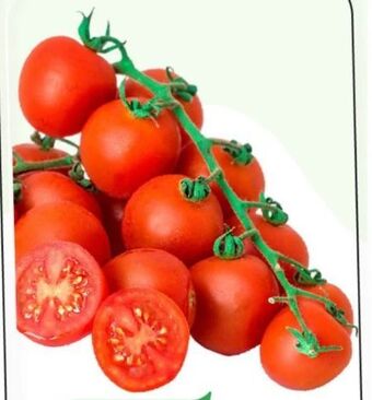 ETSAN Cherrytomaten Angebot