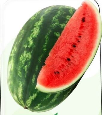 ETSAN Wassermelone Angebot