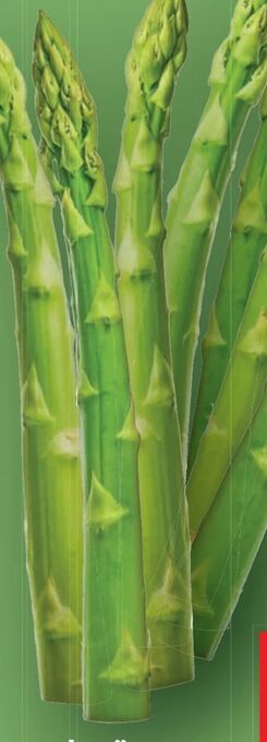 Lidl Spargel Angebot