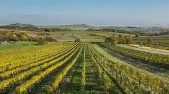 Hofer Reisen Radtour Neusiedler See Angebot